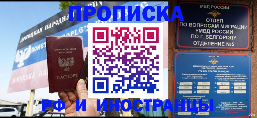 временная регистрация 2025 в Жуковском